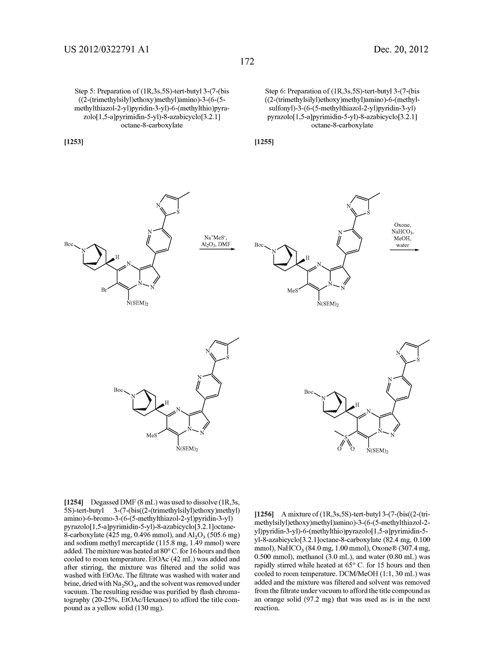 PYRAZOLO[1,5-a]PYRIMIDINE COMPOUNDS AS mTOR INHIBITORS - diagram, schematic, and image 173