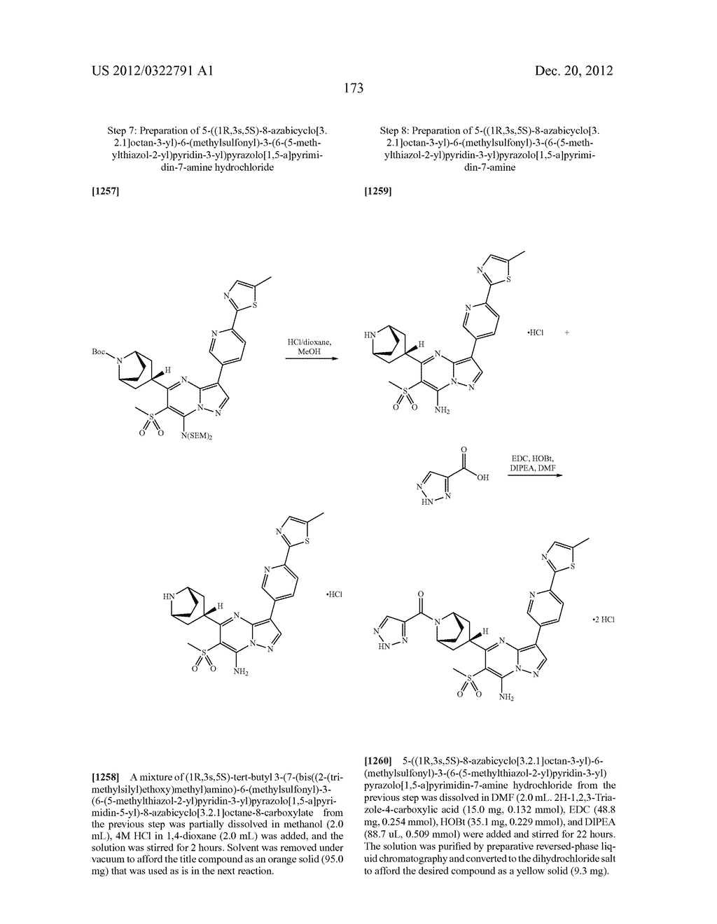 PYRAZOLO[1,5-a]PYRIMIDINE COMPOUNDS AS mTOR INHIBITORS - diagram, schematic, and image 174