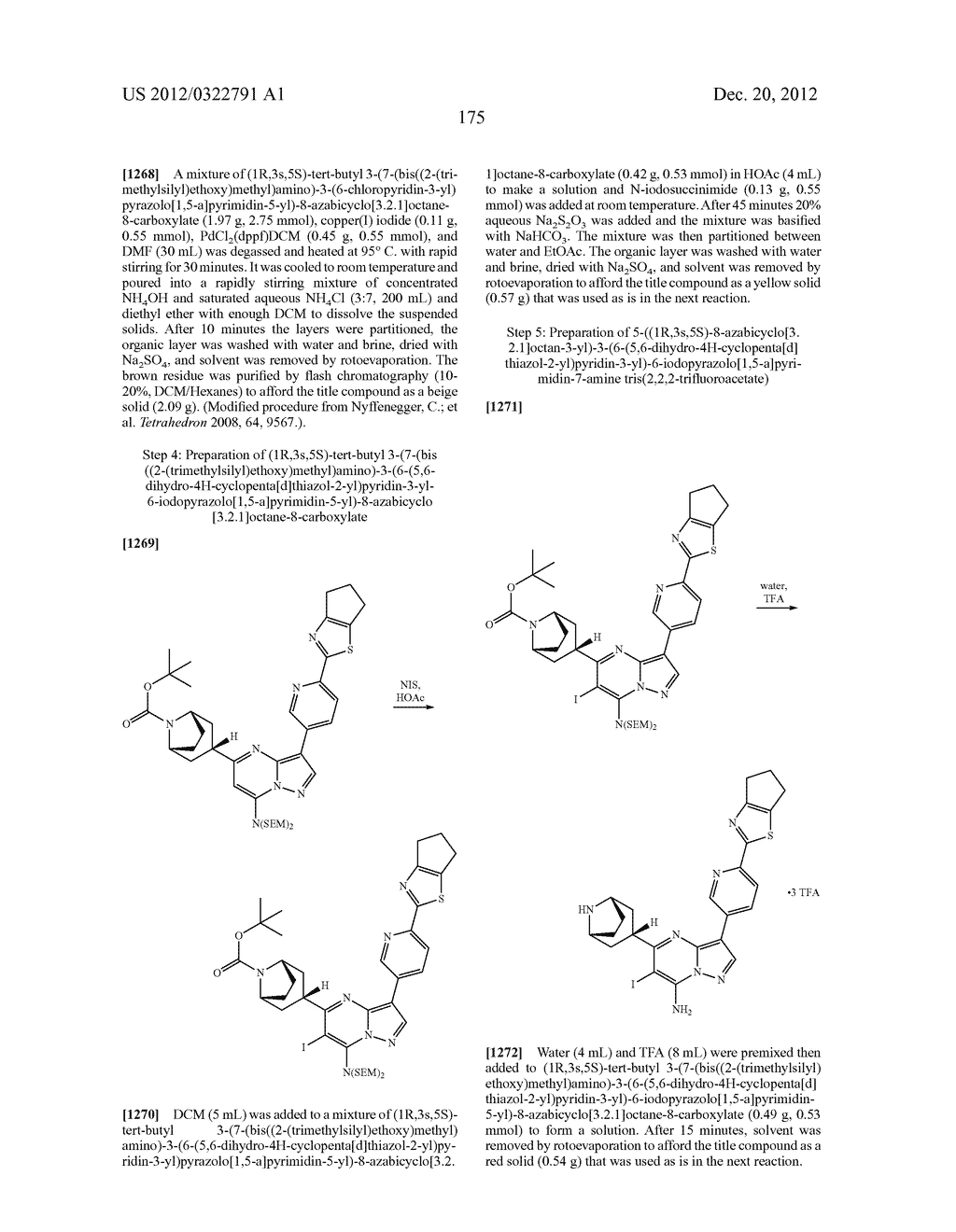 PYRAZOLO[1,5-a]PYRIMIDINE COMPOUNDS AS mTOR INHIBITORS - diagram, schematic, and image 176