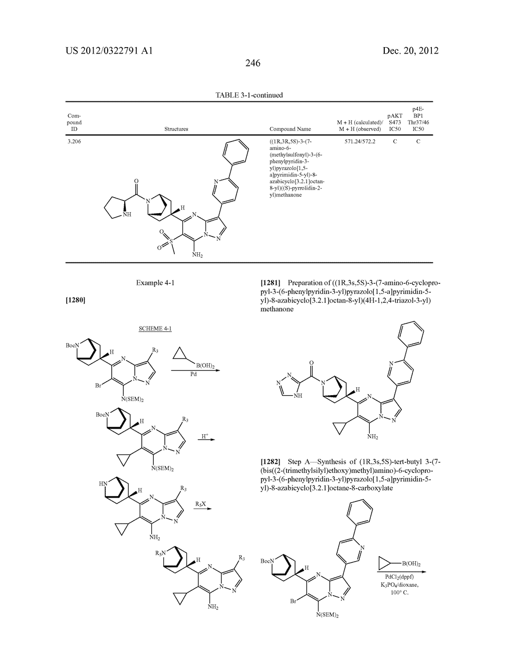 PYRAZOLO[1,5-a]PYRIMIDINE COMPOUNDS AS mTOR INHIBITORS - diagram, schematic, and image 247