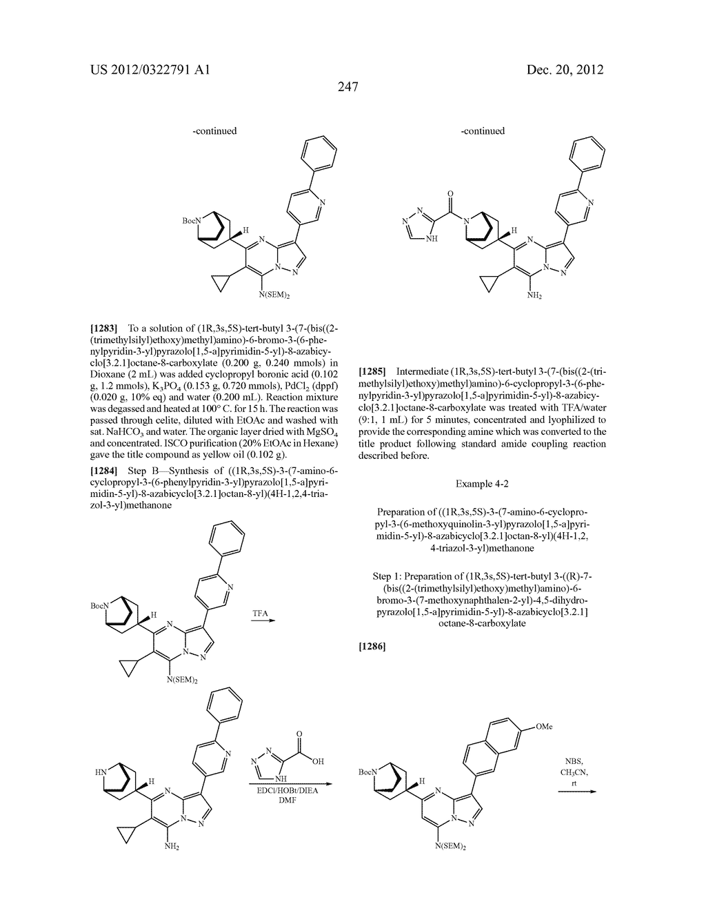 PYRAZOLO[1,5-a]PYRIMIDINE COMPOUNDS AS mTOR INHIBITORS - diagram, schematic, and image 248