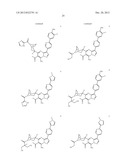 PYRAZOLO[1,5-a]PYRIMIDINE COMPOUNDS AS mTOR INHIBITORS diagram and image