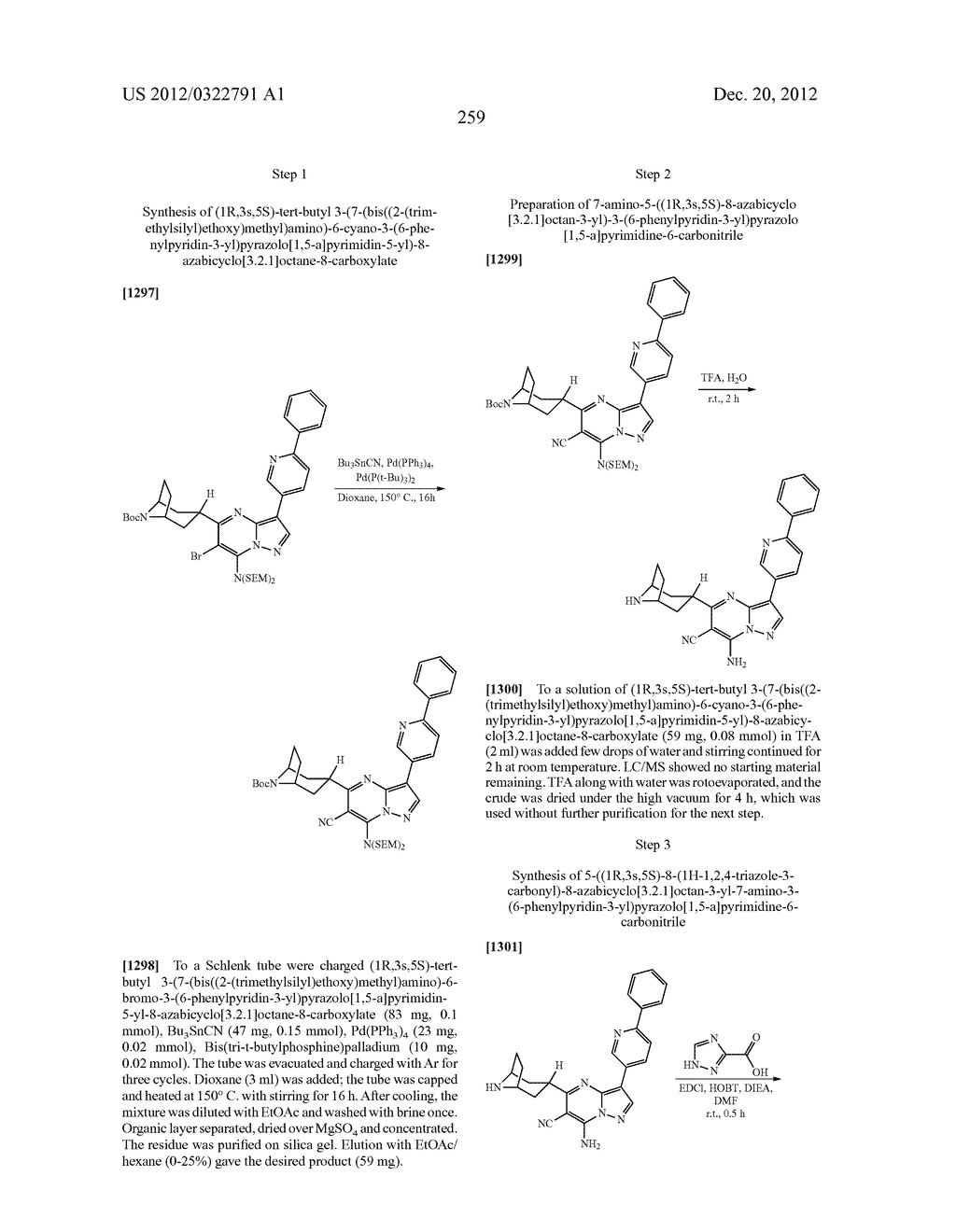 PYRAZOLO[1,5-a]PYRIMIDINE COMPOUNDS AS mTOR INHIBITORS - diagram, schematic, and image 260