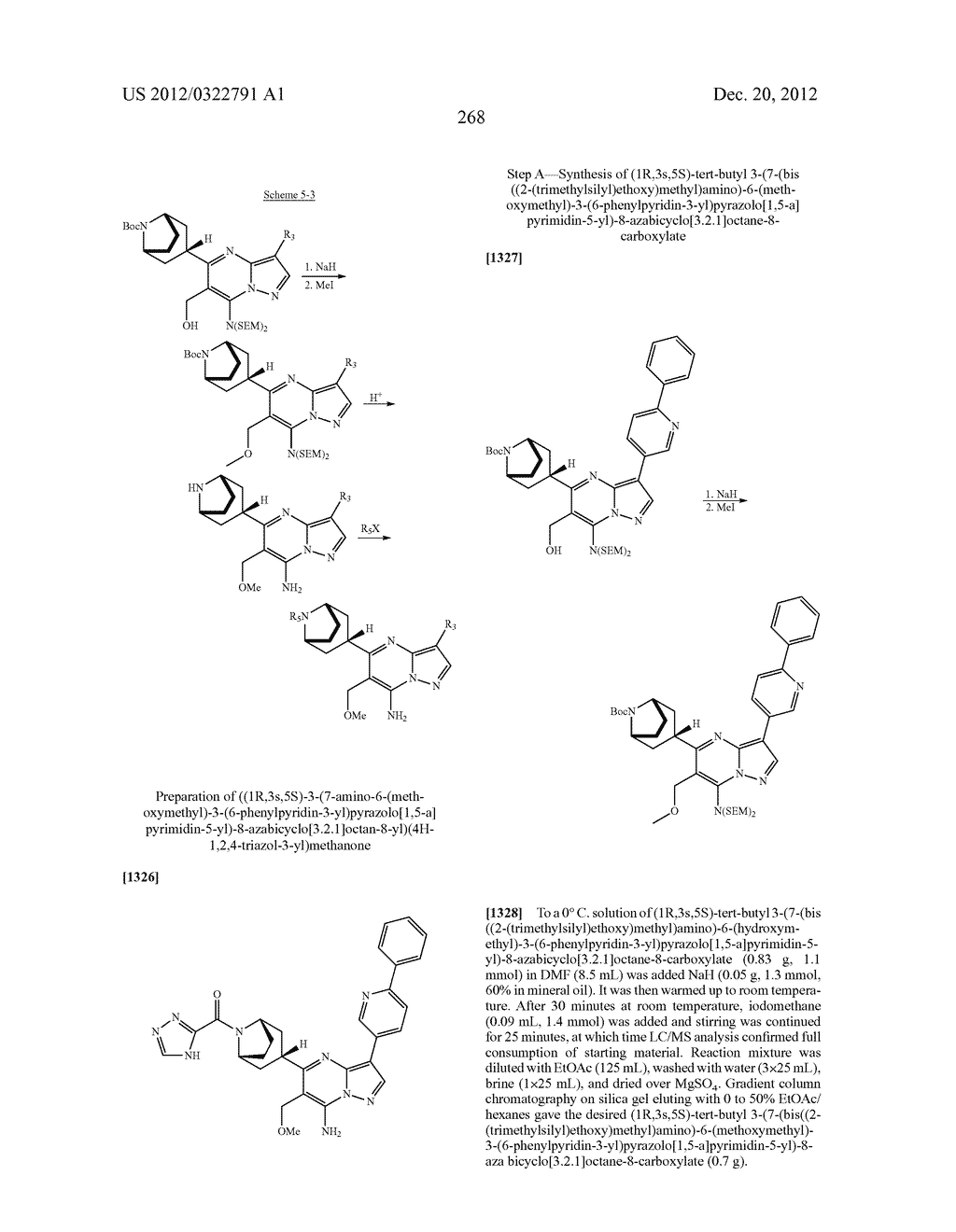 PYRAZOLO[1,5-a]PYRIMIDINE COMPOUNDS AS mTOR INHIBITORS - diagram, schematic, and image 269