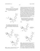 PYRAZOLO[1,5-a]PYRIMIDINE COMPOUNDS AS mTOR INHIBITORS diagram and image