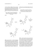 PYRAZOLO[1,5-a]PYRIMIDINE COMPOUNDS AS mTOR INHIBITORS diagram and image