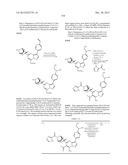 PYRAZOLO[1,5-a]PYRIMIDINE COMPOUNDS AS mTOR INHIBITORS diagram and image