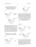 PYRAZOLO[1,5-a]PYRIMIDINE COMPOUNDS AS mTOR INHIBITORS diagram and image