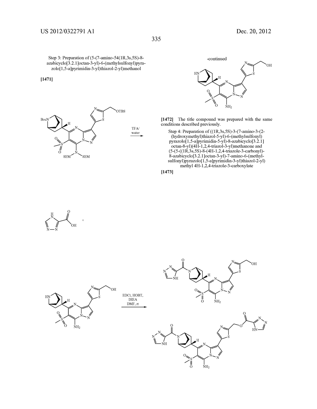PYRAZOLO[1,5-a]PYRIMIDINE COMPOUNDS AS mTOR INHIBITORS - diagram, schematic, and image 336