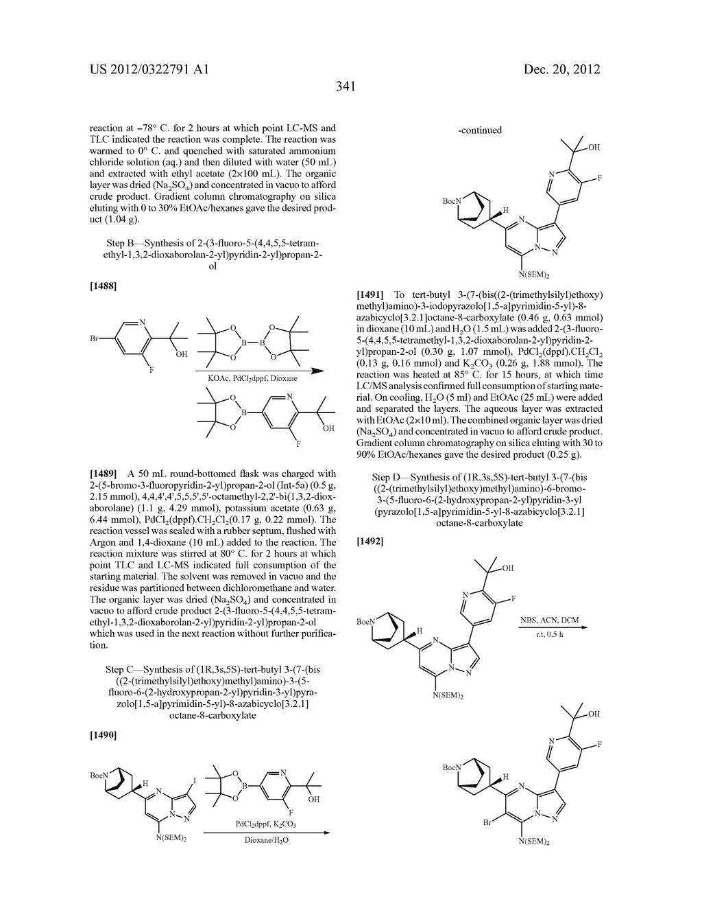 PYRAZOLO[1,5-a]PYRIMIDINE COMPOUNDS AS mTOR INHIBITORS - diagram, schematic, and image 342