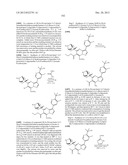 PYRAZOLO[1,5-a]PYRIMIDINE COMPOUNDS AS mTOR INHIBITORS diagram and image