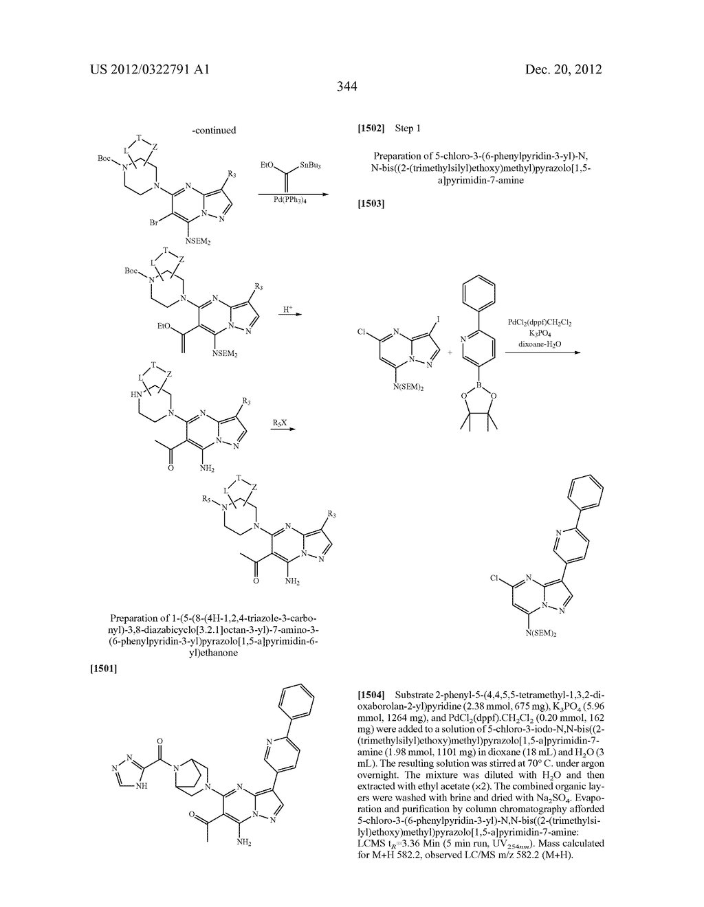 PYRAZOLO[1,5-a]PYRIMIDINE COMPOUNDS AS mTOR INHIBITORS - diagram, schematic, and image 345