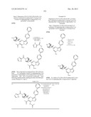 PYRAZOLO[1,5-a]PYRIMIDINE COMPOUNDS AS mTOR INHIBITORS diagram and image