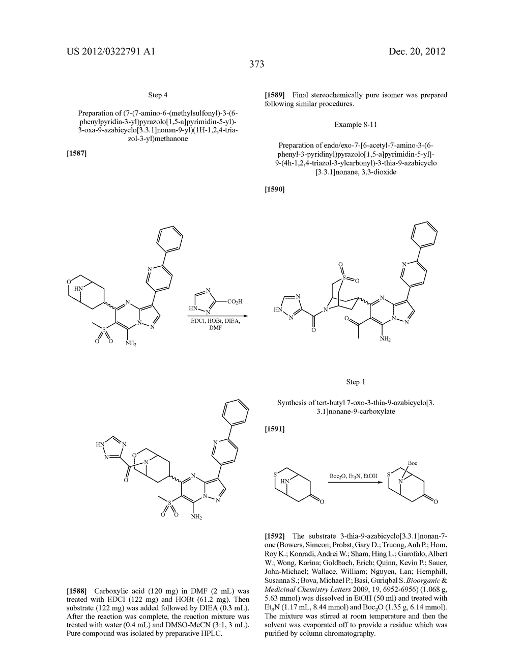 PYRAZOLO[1,5-a]PYRIMIDINE COMPOUNDS AS mTOR INHIBITORS - diagram, schematic, and image 374