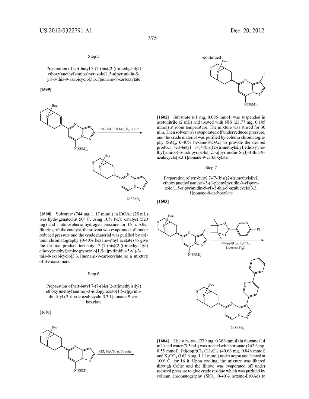PYRAZOLO[1,5-a]PYRIMIDINE COMPOUNDS AS mTOR INHIBITORS - diagram, schematic, and image 376