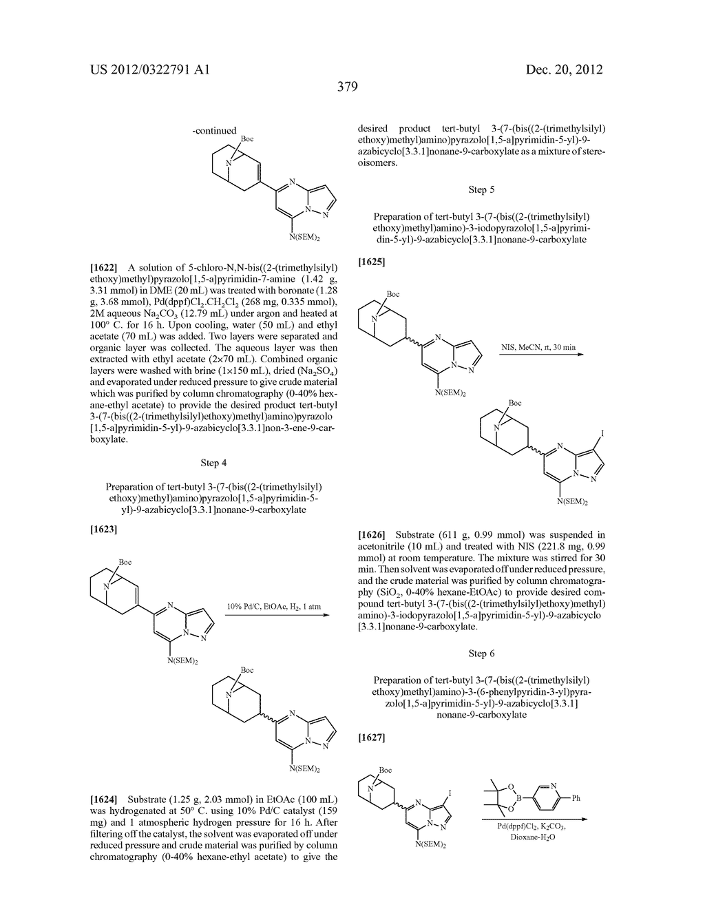 PYRAZOLO[1,5-a]PYRIMIDINE COMPOUNDS AS mTOR INHIBITORS - diagram, schematic, and image 380