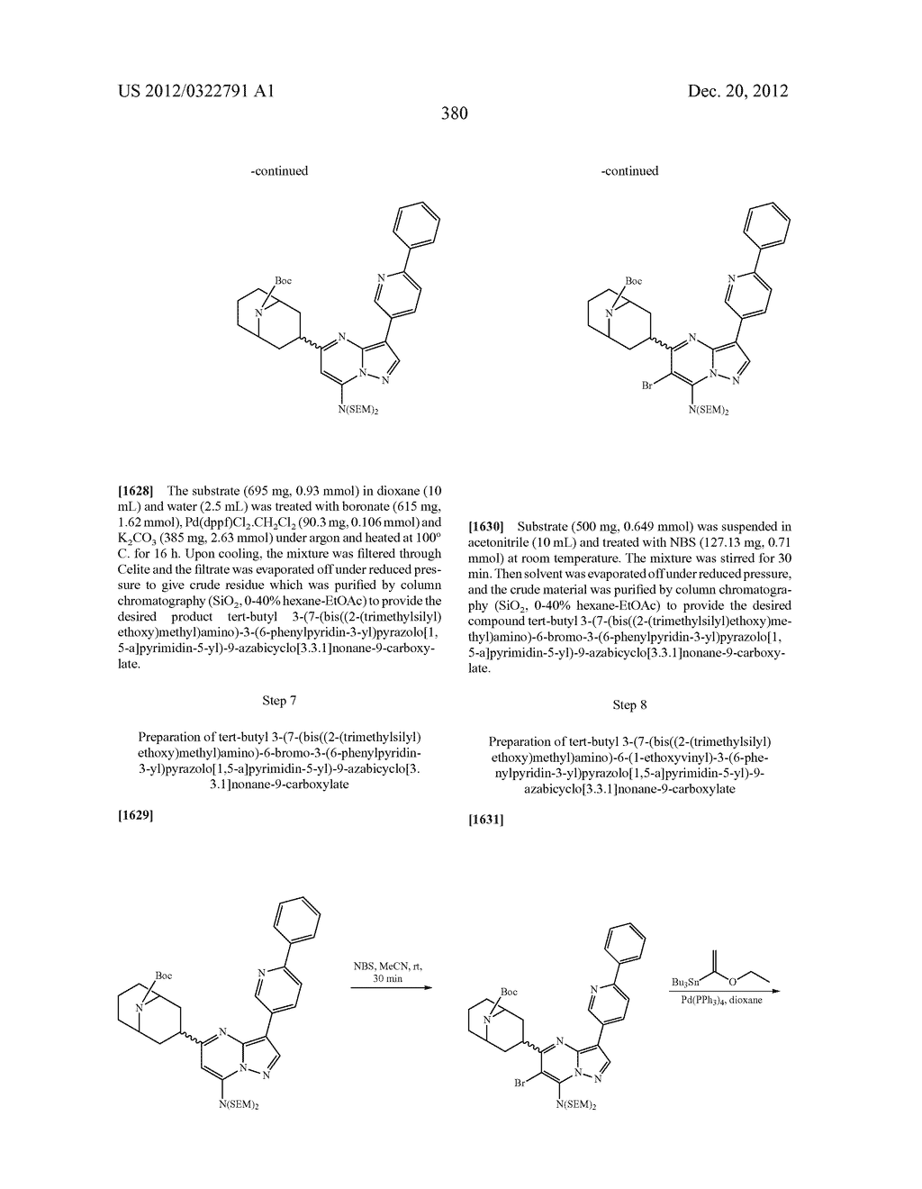 PYRAZOLO[1,5-a]PYRIMIDINE COMPOUNDS AS mTOR INHIBITORS - diagram, schematic, and image 381