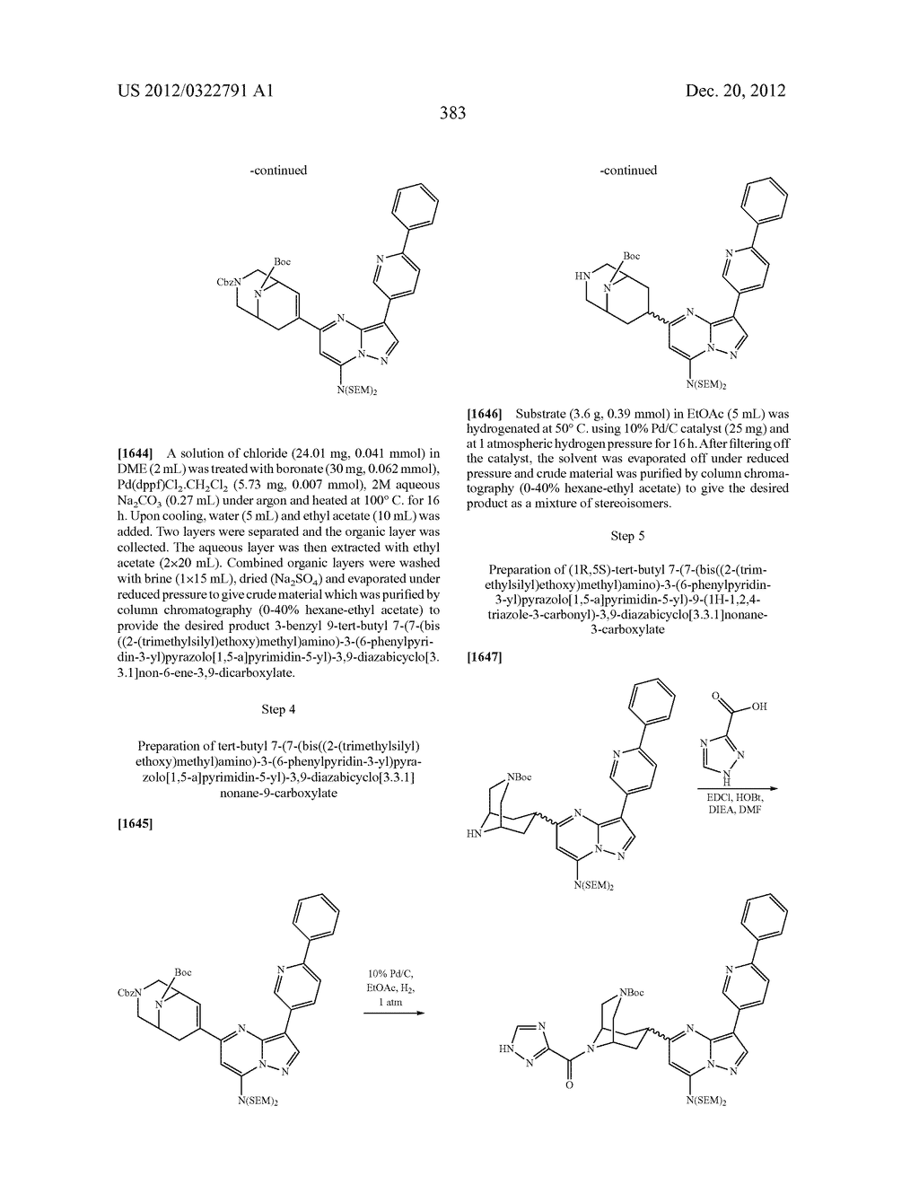 PYRAZOLO[1,5-a]PYRIMIDINE COMPOUNDS AS mTOR INHIBITORS - diagram, schematic, and image 384