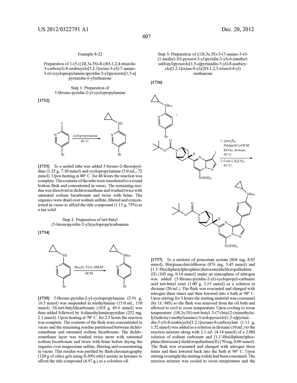 PYRAZOLO[1,5-a]PYRIMIDINE COMPOUNDS AS mTOR INHIBITORS - diagram, schematic, and image 408