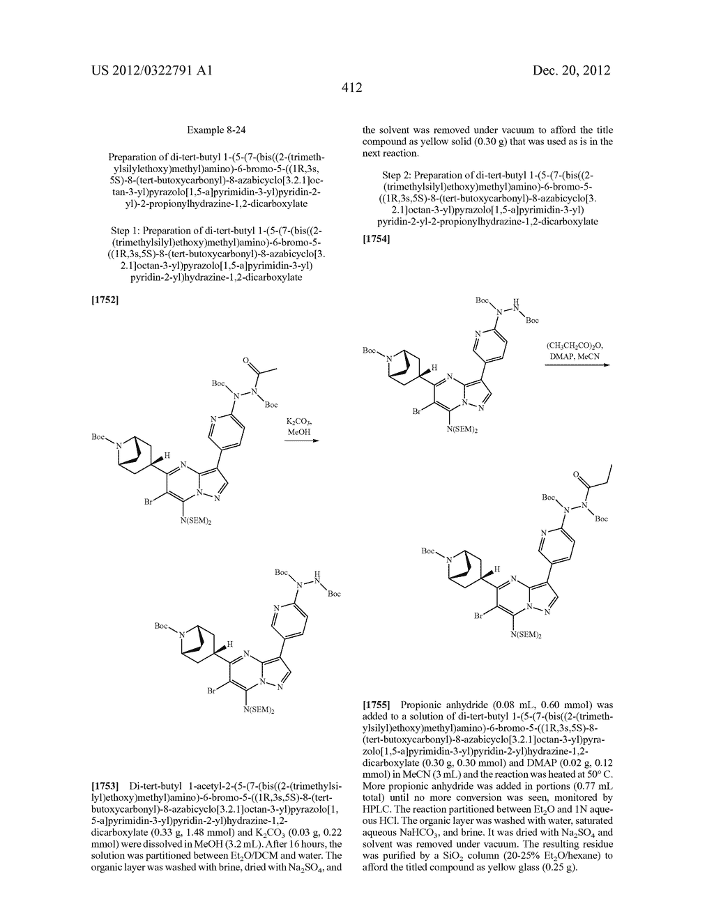 PYRAZOLO[1,5-a]PYRIMIDINE COMPOUNDS AS mTOR INHIBITORS - diagram, schematic, and image 413