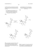 PYRAZOLO[1,5-a]PYRIMIDINE COMPOUNDS AS mTOR INHIBITORS diagram and image