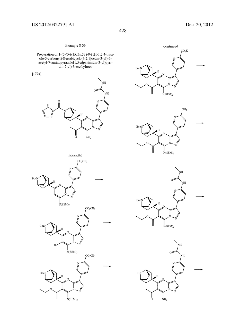 PYRAZOLO[1,5-a]PYRIMIDINE COMPOUNDS AS mTOR INHIBITORS - diagram, schematic, and image 429