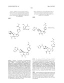 PYRAZOLO[1,5-a]PYRIMIDINE COMPOUNDS AS mTOR INHIBITORS diagram and image