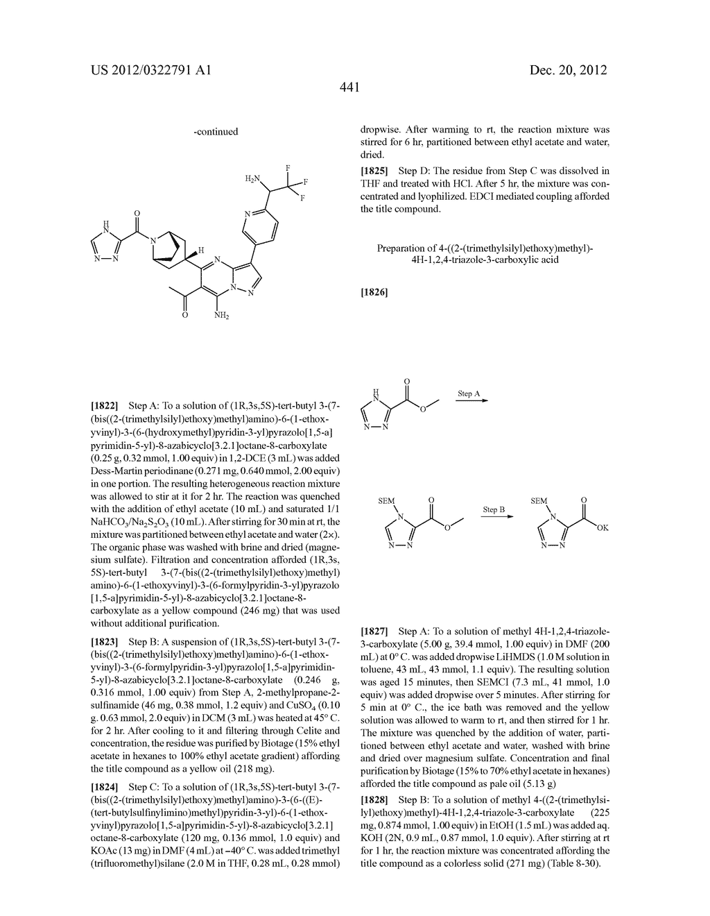 PYRAZOLO[1,5-a]PYRIMIDINE COMPOUNDS AS mTOR INHIBITORS - diagram, schematic, and image 442