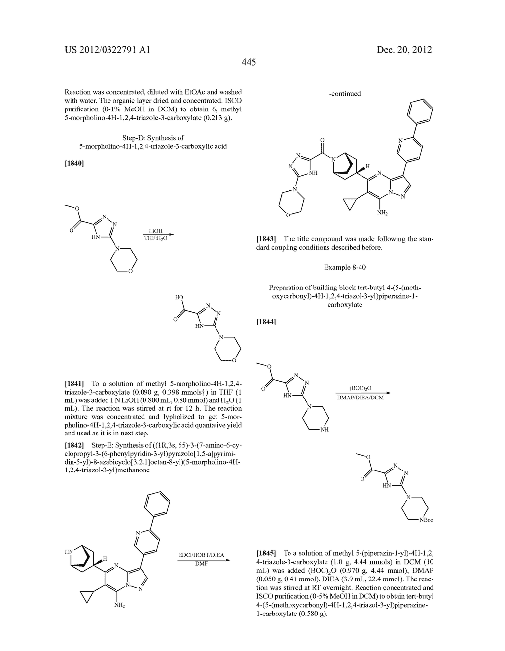 PYRAZOLO[1,5-a]PYRIMIDINE COMPOUNDS AS mTOR INHIBITORS - diagram, schematic, and image 446
