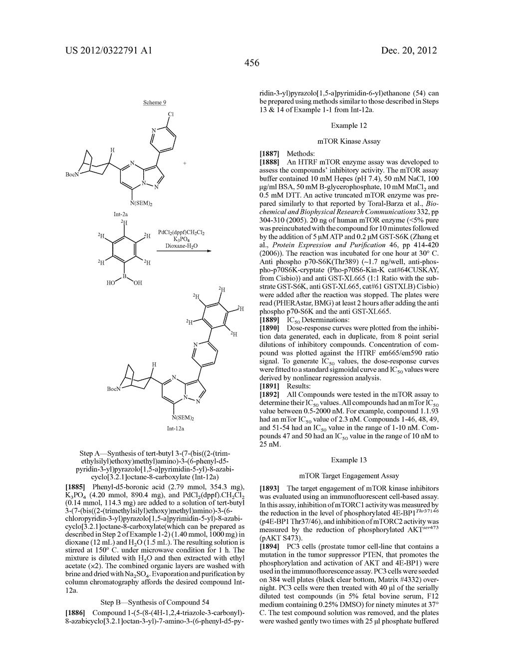 PYRAZOLO[1,5-a]PYRIMIDINE COMPOUNDS AS mTOR INHIBITORS - diagram, schematic, and image 457