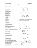 PYRAZOLO[1,5-a]PYRIMIDINE COMPOUNDS AS mTOR INHIBITORS diagram and image