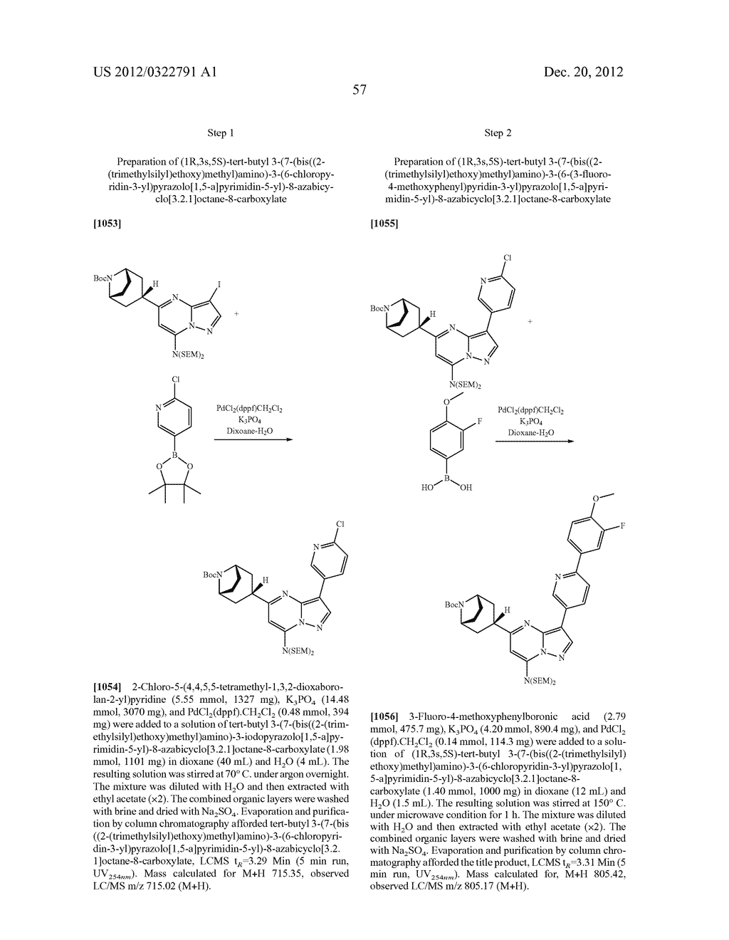 PYRAZOLO[1,5-a]PYRIMIDINE COMPOUNDS AS mTOR INHIBITORS - diagram, schematic, and image 58