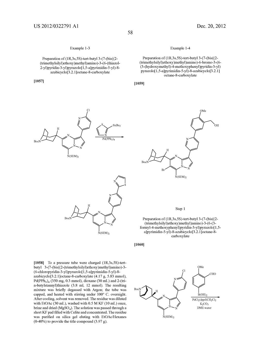 PYRAZOLO[1,5-a]PYRIMIDINE COMPOUNDS AS mTOR INHIBITORS - diagram, schematic, and image 59