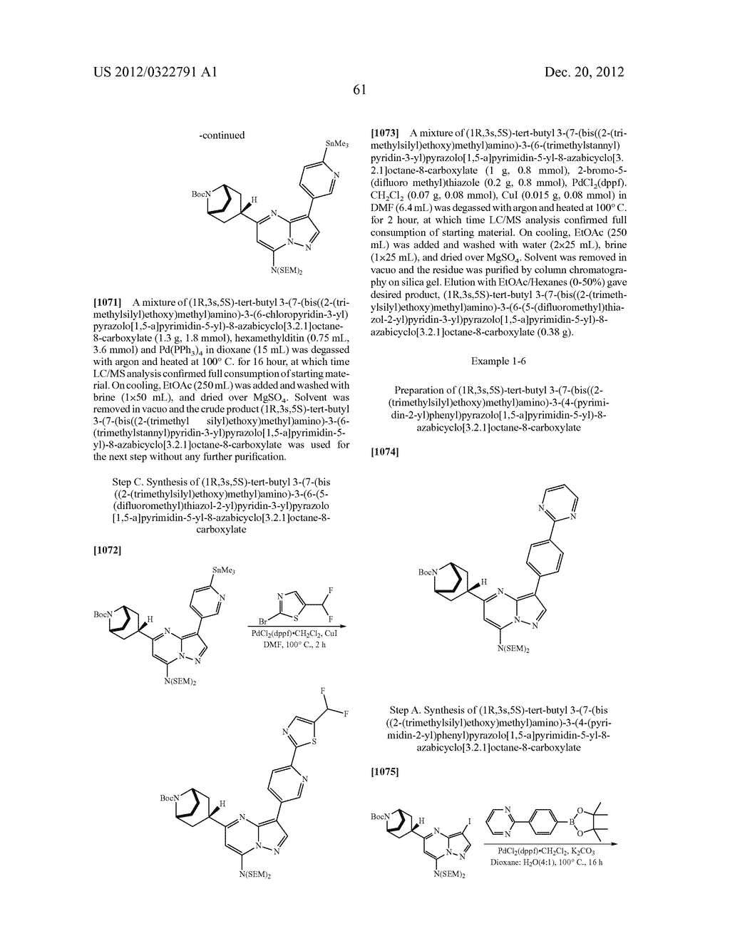 PYRAZOLO[1,5-a]PYRIMIDINE COMPOUNDS AS mTOR INHIBITORS - diagram, schematic, and image 62