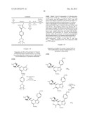 PYRAZOLO[1,5-a]PYRIMIDINE COMPOUNDS AS mTOR INHIBITORS diagram and image