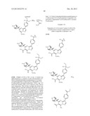 PYRAZOLO[1,5-a]PYRIMIDINE COMPOUNDS AS mTOR INHIBITORS diagram and image