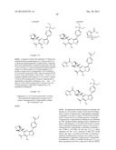 PYRAZOLO[1,5-a]PYRIMIDINE COMPOUNDS AS mTOR INHIBITORS diagram and image