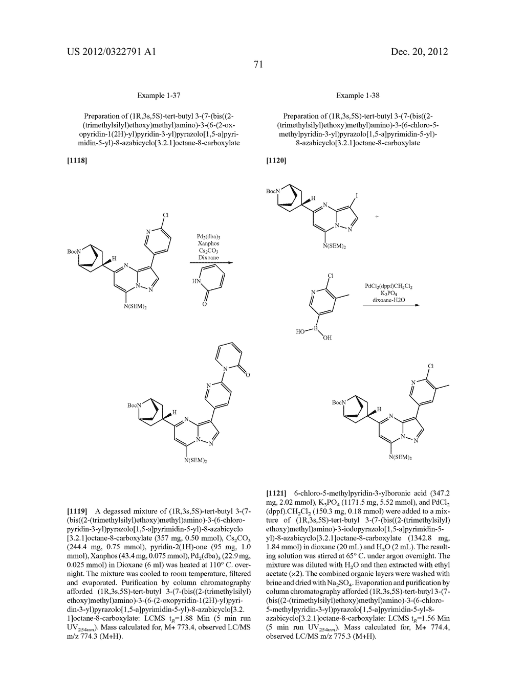 PYRAZOLO[1,5-a]PYRIMIDINE COMPOUNDS AS mTOR INHIBITORS - diagram, schematic, and image 72