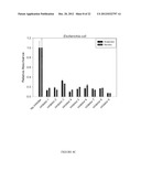 SELECTIVE BETA-GLUCURONIDASE INHIBITORS AS A TREATMENT FOR SIDE EFFECTS OF     CAMPTOTHECIN ANTINEOPLASTIC AGENTS diagram and image