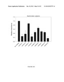 SELECTIVE BETA-GLUCURONIDASE INHIBITORS AS A TREATMENT FOR SIDE EFFECTS OF     CAMPTOTHECIN ANTINEOPLASTIC AGENTS diagram and image