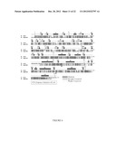 SELECTIVE BETA-GLUCURONIDASE INHIBITORS AS A TREATMENT FOR SIDE EFFECTS OF     CAMPTOTHECIN ANTINEOPLASTIC AGENTS diagram and image