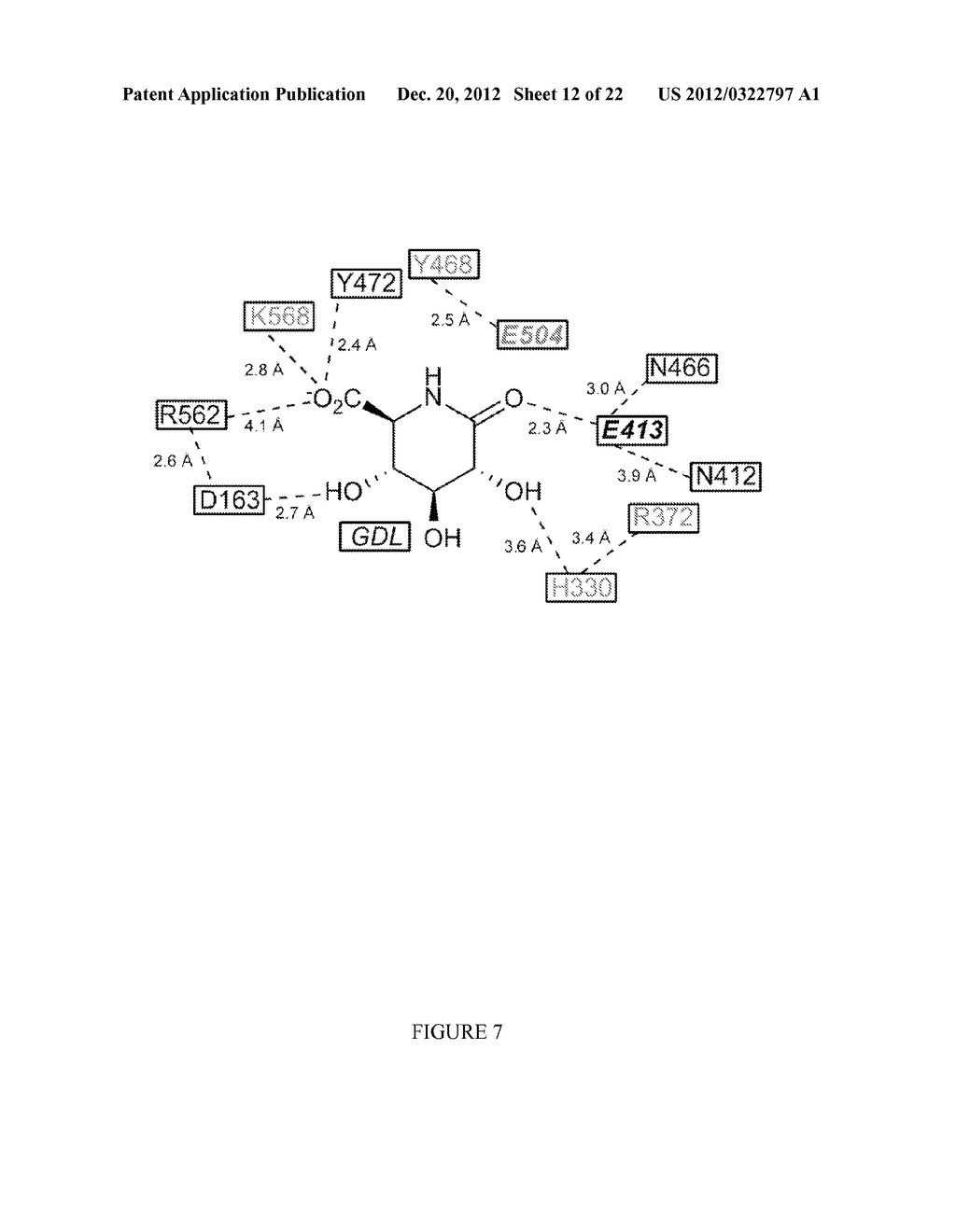 SELECTIVE BETA-GLUCURONIDASE INHIBITORS AS A TREATMENT FOR SIDE EFFECTS OF     CAMPTOTHECIN ANTINEOPLASTIC AGENTS - diagram, schematic, and image 13