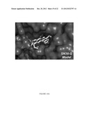 SELECTIVE BETA-GLUCURONIDASE INHIBITORS AS A TREATMENT FOR SIDE EFFECTS OF     CAMPTOTHECIN ANTINEOPLASTIC AGENTS diagram and image