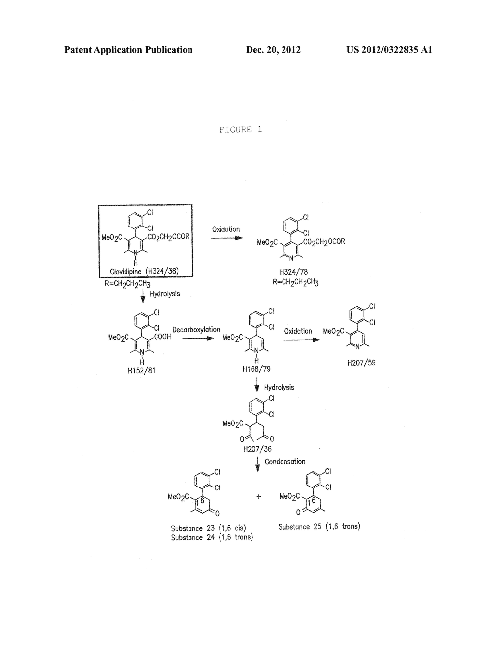 PHARMACEUTICAL COMPOSITIONS AND METHODS FOR PRODUCING LOW IMPURITY     CONCENTRATIONS OF THE SAME - diagram, schematic, and image 02