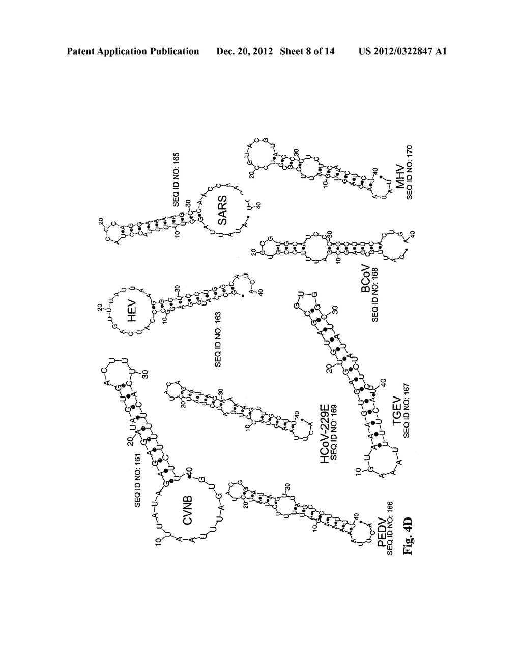 ANTISENSE ANTIVIRAL COMPOUND AND METHOD FOR TREATING ssRNA VIRAL INFECTION - diagram, schematic, and image 09