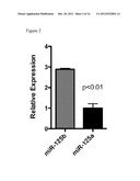 REGULATION OF MACROPHAGE ACTIVATION USING MIR-125B diagram and image