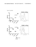 REGULATION OF MACROPHAGE ACTIVATION USING MIR-125B diagram and image