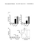 REGULATION OF MACROPHAGE ACTIVATION USING MIR-125B diagram and image