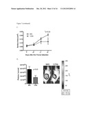 REGULATION OF MACROPHAGE ACTIVATION USING MIR-125B diagram and image