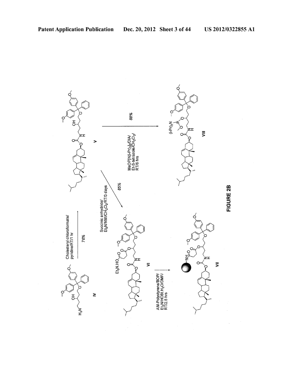 Duplex Oligonucleotide Complexes and Methods for Gene Silencing by RNA     Interference - diagram, schematic, and image 04